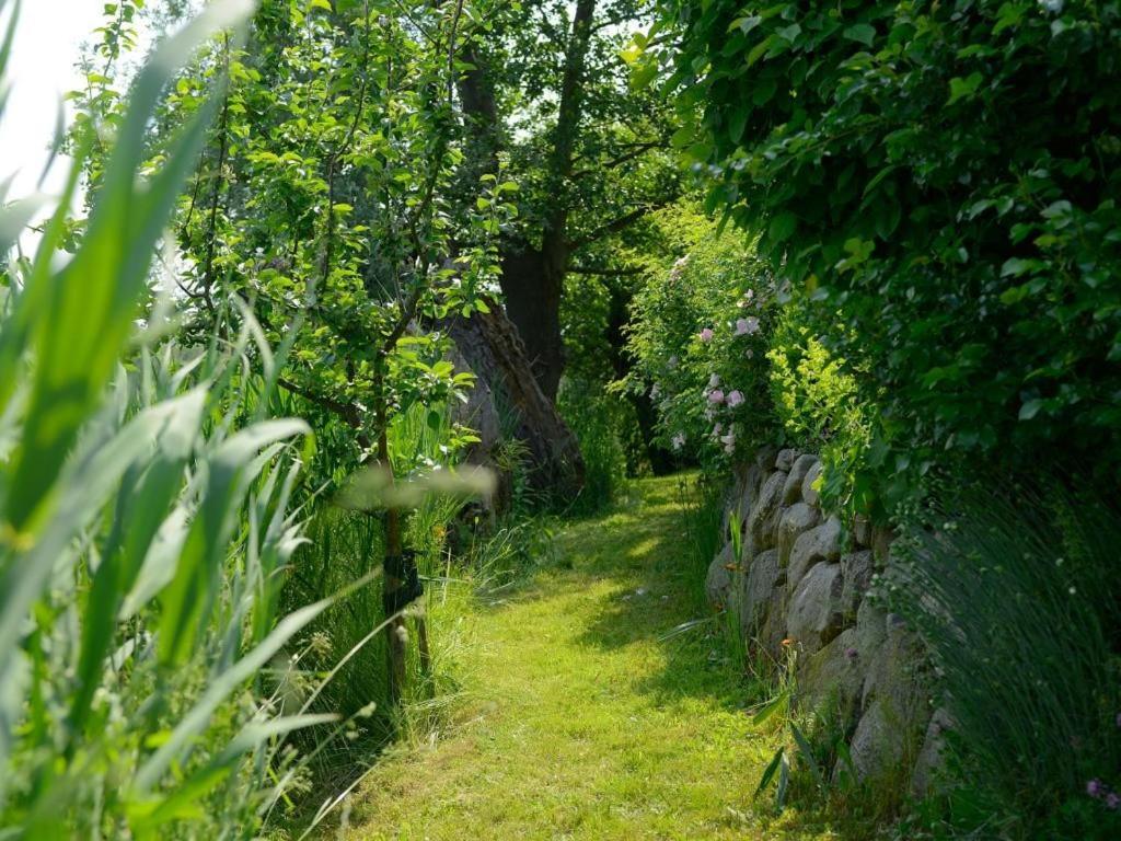 Wildrose Ferienhaus บอลเทินฮาเกิน ภายนอก รูปภาพ
