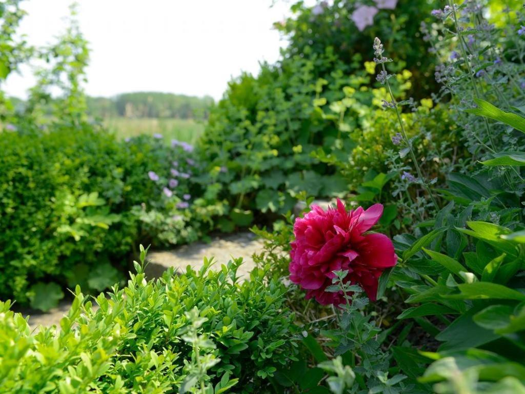 Wildrose Ferienhaus บอลเทินฮาเกิน ภายนอก รูปภาพ